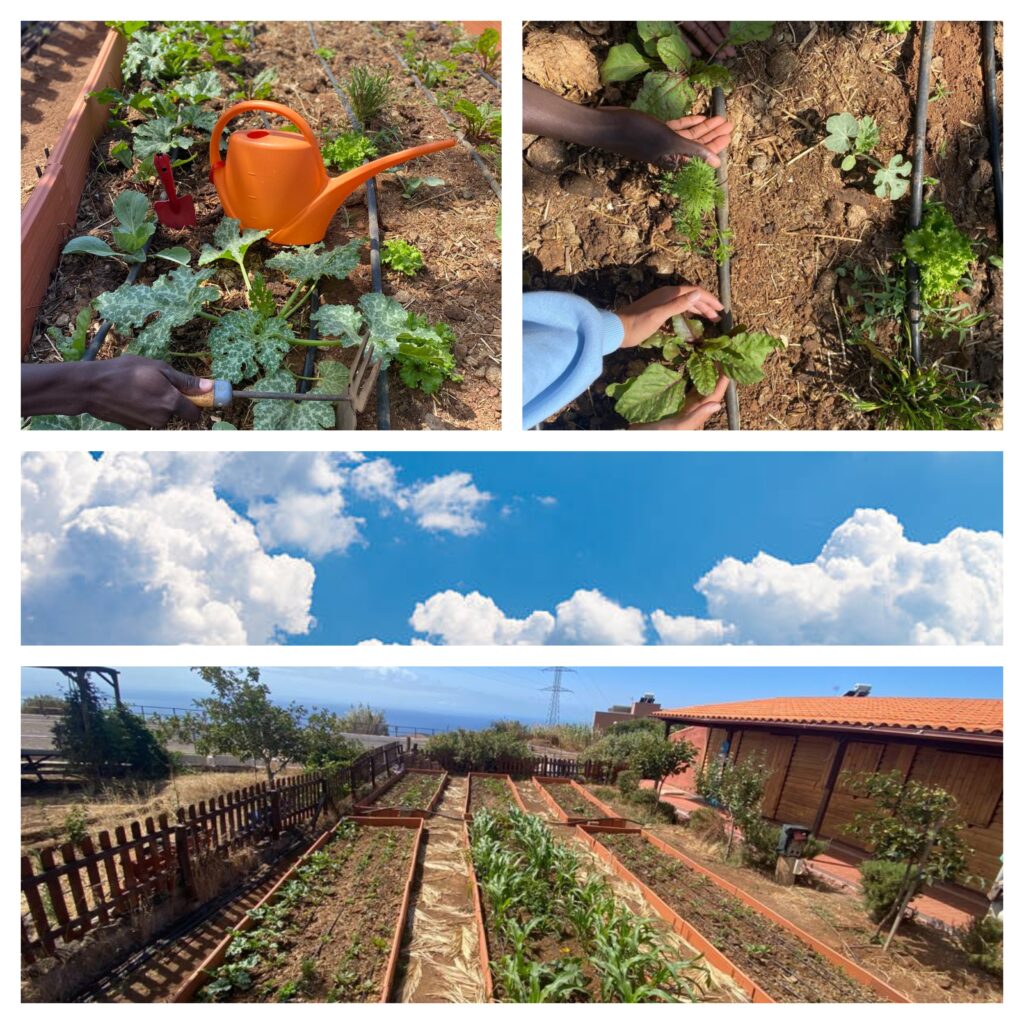 Taller Agricultura I